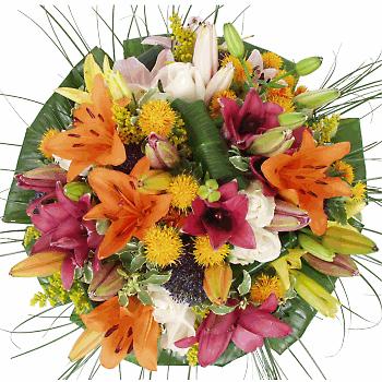 Découvrez l'enchantement de ce bouquet, une création originale BeBloom conçue autour d'une fleur majestueuse : le Lys, accompagnée de multiples variétés de fleurs aux couleurs variées.
