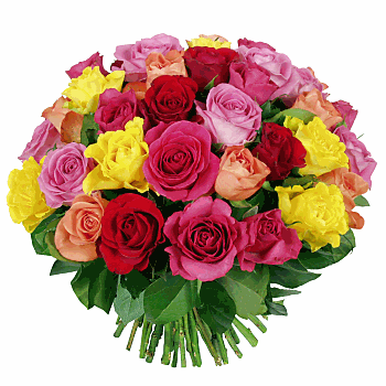 Un ensemble de 41 roses aux couleurs variées et lumineuses et délicatement tournées en bouquet rond avec du feuillage (sallal), un grand classique signé BeBloom, grand format.