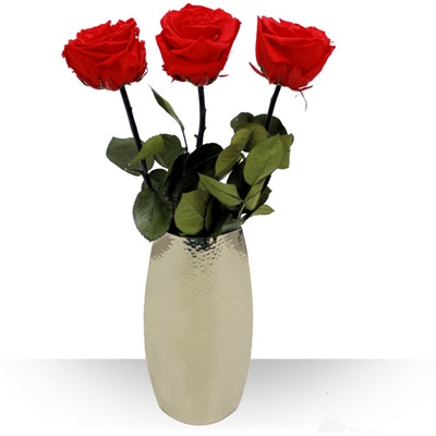 https://www.bebloom.com/Images/bouquets/moyennes/3-roses-eternelles-400-7140.jpg