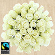 Mariage - 40 ROSES BLANCHES - 