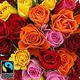 40-roses-multicolores-5324.jpg