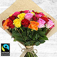50-roses-multicolores-6541.jpg
