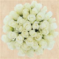 Bouquets ronds : 40 roses blanches