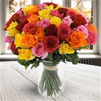 60 roses multicolores + vase