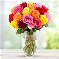 Bouquet de roses variees et son vase