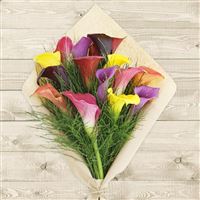 Bouquet de callas multicolores