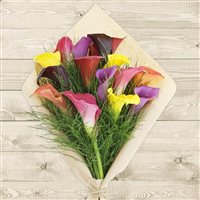 Bouquet de callas multicolores XXL