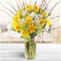 Bouquet de Narcisses varies et son vase